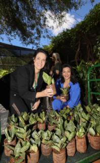 Viveiro aberto e Sarau. Servidora, Mariana. Servidora, Izamara.