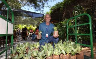 Viveiro aberto e Sarau. Terceirizado, Jose Ribeiro.