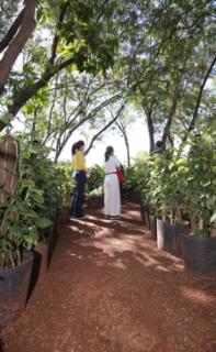 Viveiro aberto. Papo sobre compostagem com distribuição de mudas para participantes.