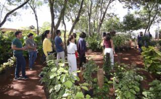 Viveiro aberto. Papo sobre compostagem com distribuição de mudas para participantes.