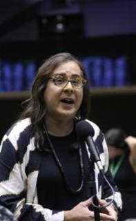 Discussão e votação de propostas legislativas. Dep. Duda Salabert (PDT-MG)