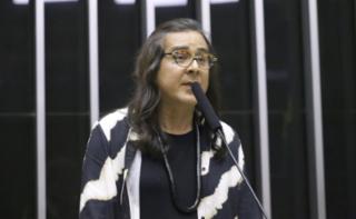 Discussão e votação de propostas legislativas. Dep.  Duda Salabert (PDT-MG)