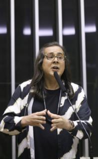 Discussão e votação de propostas legislativas. Dep.  Duda Salabert (PDT-MG)