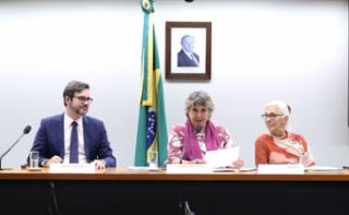 Audiência Pública - Política Brasileira de Capacitação de Microempreendedores Individuais, Microempresas e Empresas de Pequeno Porte do Simples Nacional – PBCSIMPLE. Serviço Brasileiro de Apoio às Micro e Pequenas Empresas - Sebrae, Edgar Fernandes. Dep. Erika Kokay (PT-DF). Cfêmea, Guacira Cesar de Oliveira.