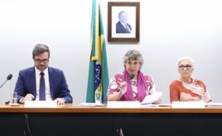 Audiência Pública - Política Brasileira de Capacitação de Microempreendedores Individuais, Microempresas e Empresas de Pequeno Porte do Simples Nacional – PBCSIMPLE. Serviço Brasileiro de Apoio às Micro e Pequenas Empresas - Sebrae, Edgar Fernandes. Dep. Erika Kokay (PT-DF). Cfêmea, Guacira Cesar de Oliveira.