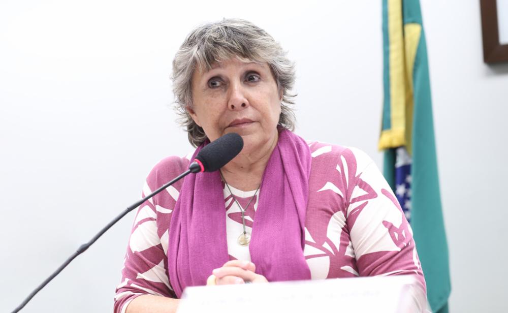 Audiência Pública - Política Brasileira de Capacitação de Microempreendedores Individuais, Microempresas e Empresas de Pequeno Porte do Simples Nacional – PBCSIMPLE. Dep. Erika Kokay (PT-DF)