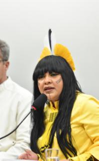 Audiência Pública - Regulamentação da profissão de brigadista florestal. Dep. Célia Xakriabá (PSOL-MG)