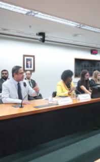 Discussão e votação do Parecer do Relator. Dep. Orlando Silva (PCDOB-SP). Dep. Benedita da Silva (PT - RJ)