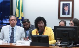 Discussão e votação do Parecer do Relator. Dep. Orlando Silva (PCDOB-SP). Dep. Benedita da Silva (PT - RJ)