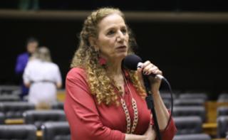 Discussão e votação de propostas legislativas. Dep. Jandira Feghali (PCdoB - RJ)