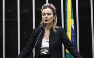 Discussão e votação de propostas legislativas. Dep. Julia Zanatta (PL - SC)