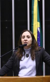 Discussão e votação das Lei de Diretrizes Orçamentárias. Dep. Adriana Ventura (NOVO - SP)
