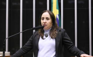 Discussão e votação das Lei de Diretrizes Orçamentárias. Dep. Adriana Ventura (NOVO - SP)