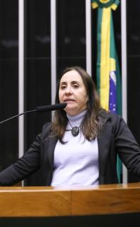 Discussão e votação das Lei de Diretrizes Orçamentárias. Dep. Adriana Ventura (NOVO - SP)