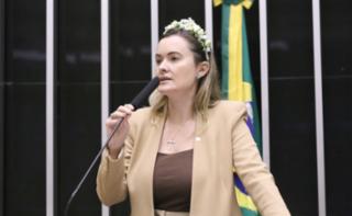Discussão e votação das Lei de Diretrizes Orçamentárias. Dep. Julia Zanatta (PL - SC)