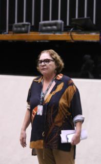 Visita ao Congresso Nacional com apresentação da edição especial do “Visite Encena”. Servidora, Deborah Achcar.