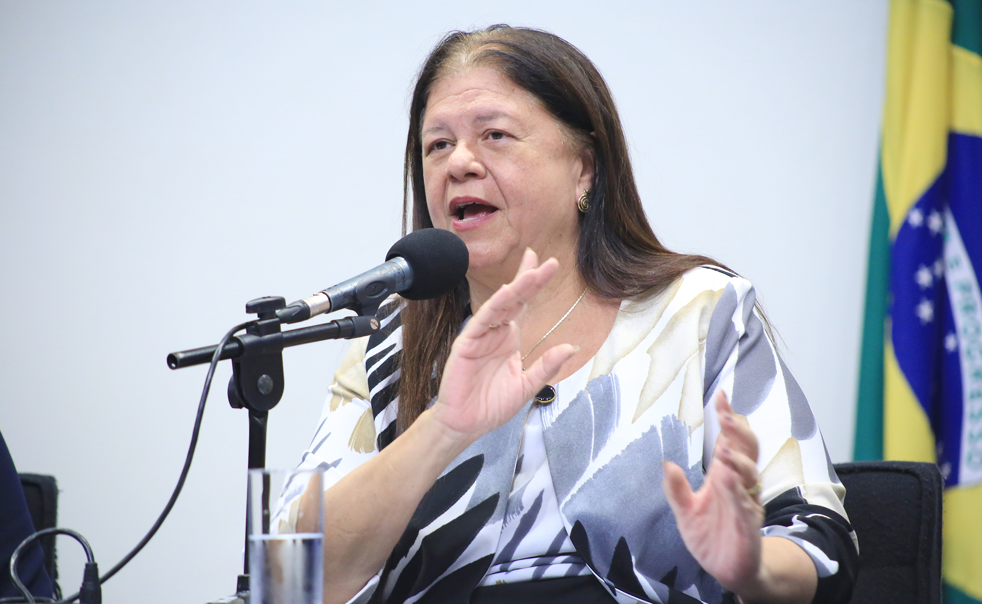 Intercâmbio Legislativo – Evento de lançamento. Dep. Laura Carneiro (PSD - RJ) Segunda Vice-Presidência