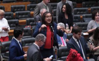 Discussão e votação de propostas legislativas. Dep. Duda Salabert (PDT-MG)