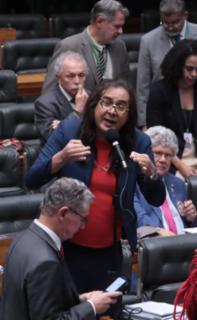 Discussão e votação de propostas legislativas. Dep. Duda Salabert (PDT-MG)