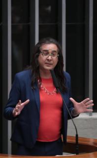 Discussão e votação de propostas legislativas. Dep. Duda Salabert (PDT-MG)