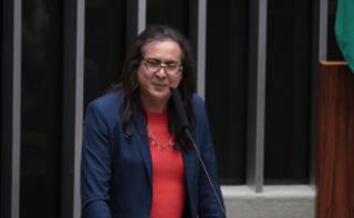 Discussão e votação de propostas legislativas. Dep. Duda Salabert (PDT-MG)