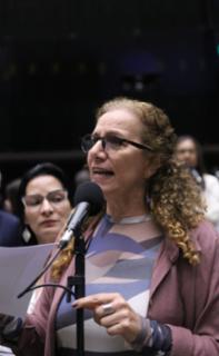 Discussão e votação de propostas legislativas. Dep. Jandira Feghali (PCDOB-RJ)