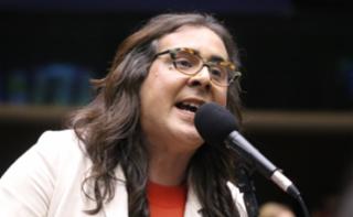 Discussão e votação de propostas legislativas. Dep. Duda Salabert (PDT-MG)