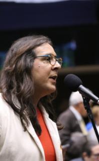 Discussão e votação de propostas legislativas. Dep. Duda Salabert (PDT-MG)