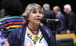 Discussão e votação de propostas legislativas. Dep. Erika Kokay (PT - DF)