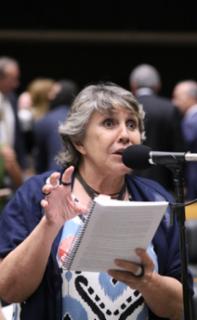 Discussão e votação de propostas legislativas. Dep. Erika Kokay (PT - DF)