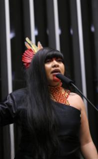 Discussão e votação de propostas legislativas. Dep. Célia Xakriabá (PSOL - MG)