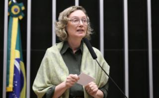 Discussão e votação de propostas legislativas. Dep. Maria do Rosário (PT-RS)