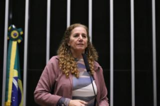 Discussão e votação de propostas legislativas. Dep. Jandira Feghali (PCDOB-RJ)