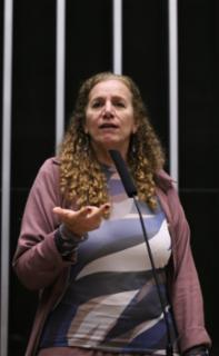 Discussão e votação de propostas legislativas. Dep. Jandira Feghali (PCDOB-RJ)