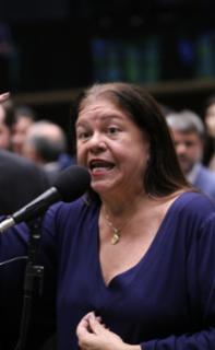 Discussão e votação de propostas legislativas. Dep. Laura Carneiro (PSD-RJ)