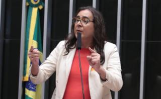 Discussão e votação de propostas legislativas. Dep. Duda Salabert (PDT-MG)