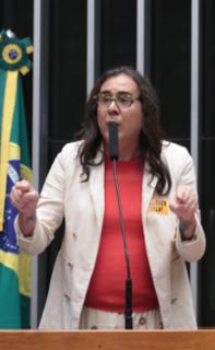 Discussão e votação de propostas legislativas. Dep. Duda Salabert (PDT-MG)