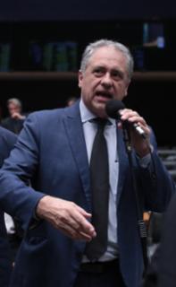 Discussão e votação de propostas legislativas. Dep. Carlos Zarattini (PT - SP)