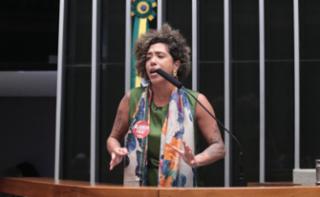 Discussão e votação de propostas legislativas. Dep. Talíria Petrone (PSOL - RJ)