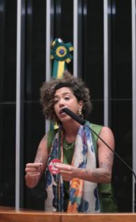Discussão e votação de propostas legislativas. Dep. Talíria Petrone (PSOL - RJ)
