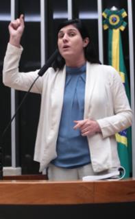 Discussão e votação de propostas legislativas. Dep. Chris Tonietto (PL - RJ)