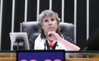 Discussão e votação de propostas legislativas. Dep. Erika Kokay (PT - DF)