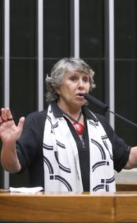 Discussão e votação de propostas legislativas. Dep. Erika Kokay (PT - DF)