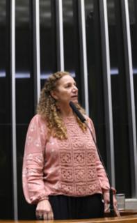 Discussão e votação de propostas legislativas. Dep. Jandira Feghali (PCDOB-RJ)