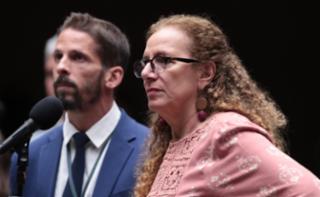 Discussão e votação de propostas legislativas. Dep. Jandira Feghali (PCDOB-RJ)