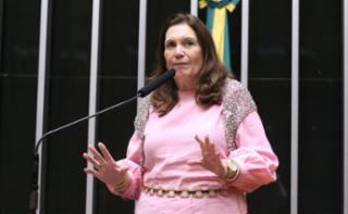 Deliberação dos Projetos de Lei do Congresso Nacional (LOA 2026). Dep. Bia Kicis (PL - DF)