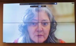 Seminário - A importância da implementação do Orçamento Sensível a Gênero e Raça. Participante, Ana Paula Salej Gomes.