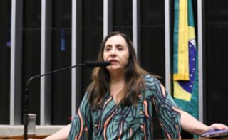 Discussão e votação de propostas legislativas. Dep. Adriana Ventura (NOVO - SP)