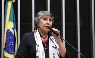 Discussão e votação de propostas legislativas. Dep. Erika Kokay (PT-DF)