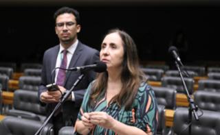 Discussão e votação de propostas legislativas. Dep. Adriana Ventura (NOVO - SP)